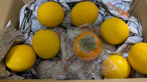 PXL_20241229_073148837