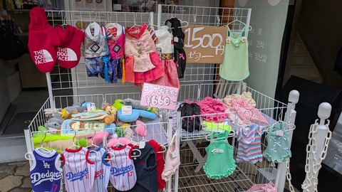 PXL_20251020_041235536