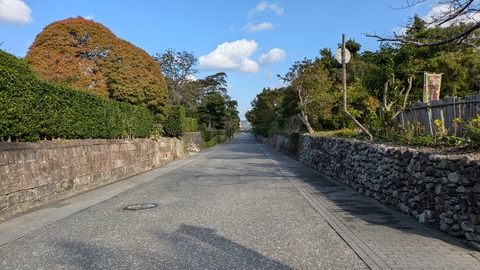 PXL_20241118_003841444