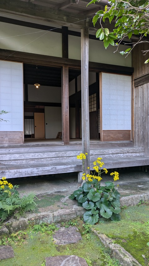 PXL_20241118_003555350