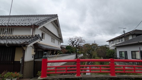 PXL_20251018_045947045