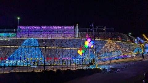 PXL_20241118_090311987