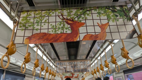 PXL_20250630_045931592