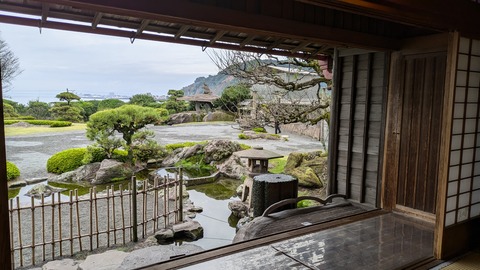 PXL_20241115_041615883