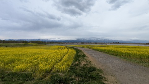 PXL_20250413_020303341