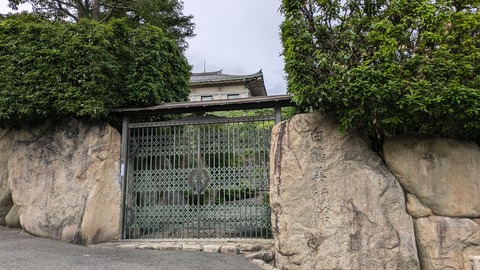 PXL_20241018_072047209