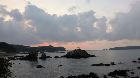 PXL_20241117_080826533