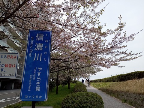 DSC_2601[1]