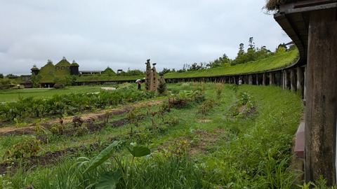PXL_20250626_023901048