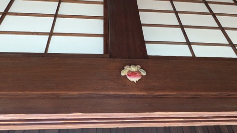 PXL_20241115_041524800