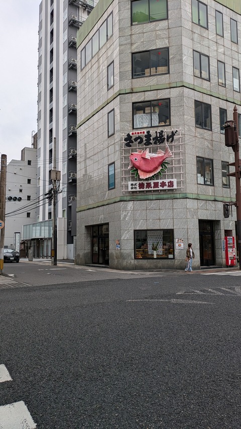 PXL_20241115_052244520