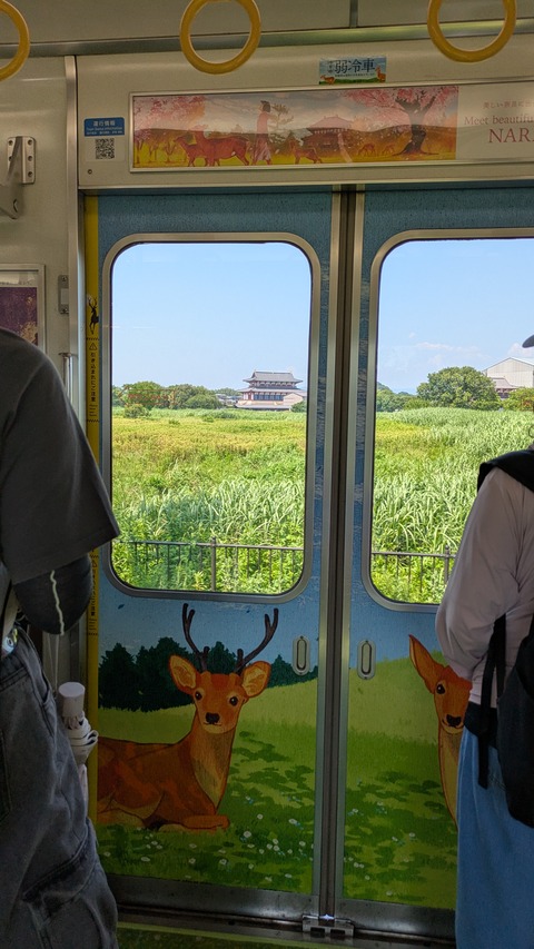 PXL_20250630_050058793