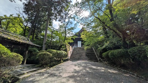 PXL_20250626_064251905