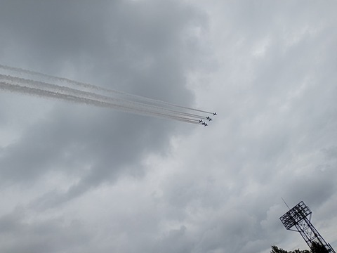 DSC_3732