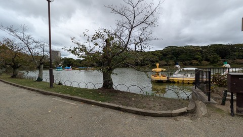 PXL_20241028_015848963