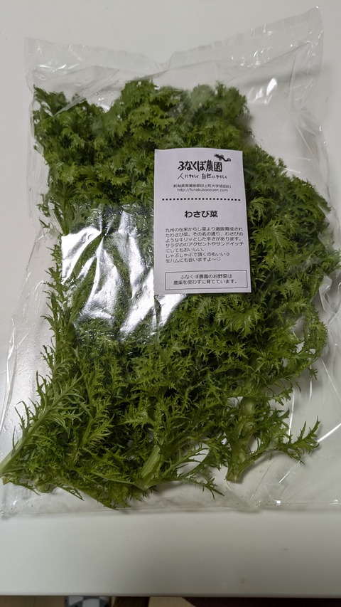 PXL_20260215_074444707