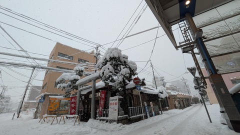 PXL_20260124_061408703