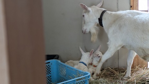 PXL_20250414_021727278