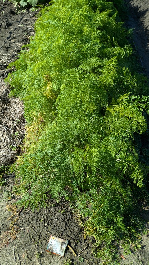 PXL_20251102_004822276