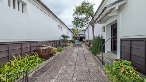 PXL_20251018_052757795