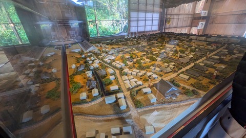 PXL_20241119_062300576