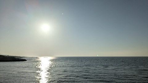 1000016362
