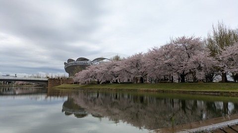 PXL_20250414_014203292