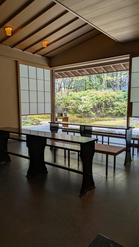 PXL_20250411_041924854