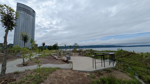 PXL_20250626_052316580