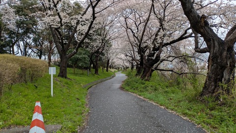 PXL_20250414_014316566