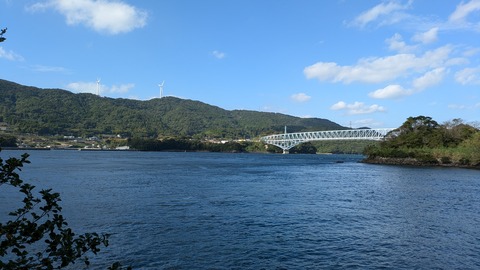 PXL_20241118_044636637