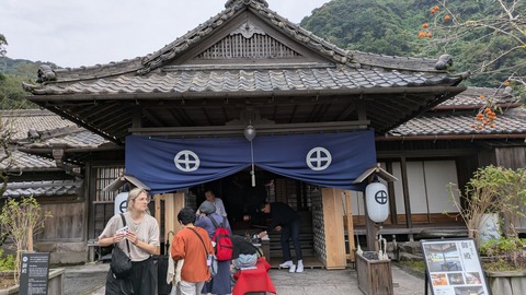 PXL_20241115_040557400