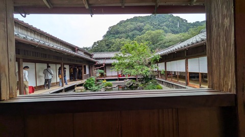 PXL_20241115_041044398