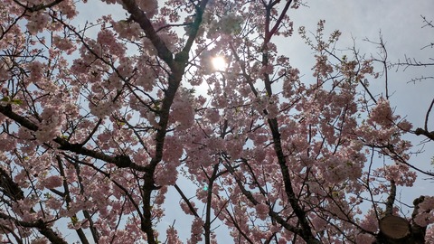 PXL_20250411_021317662