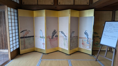 PXL_20241115_041611647