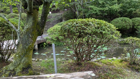 PXL_20250626_065314131