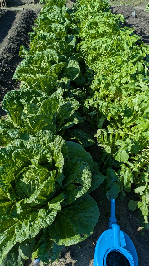 PXL_20251102_004831573