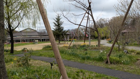 PXL_20250414_022538255