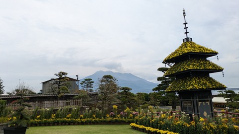 PXL_20241115_043110636