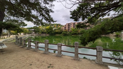 PXL_20241018_074413940