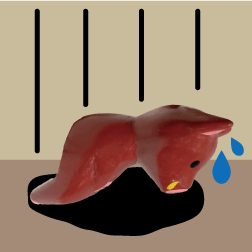 イノシシ　がっかりｗ