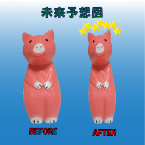 ブタ　ビフォーアフター