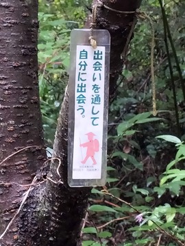 IMG20211013083329