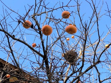 PXL_20251207_031648046~3