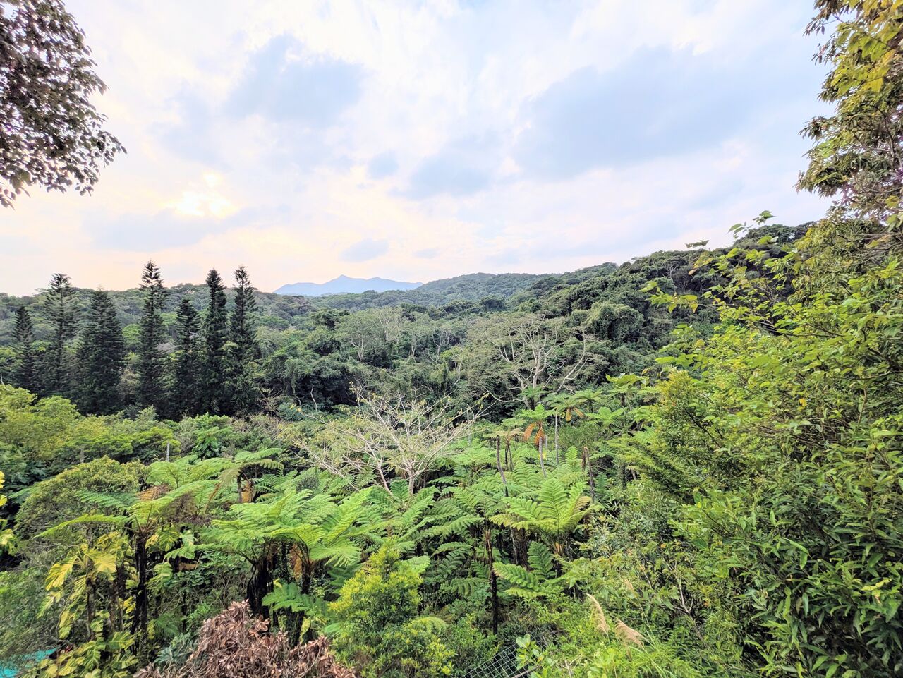 PXL_20251125_070914513~3