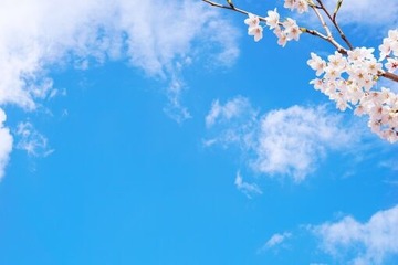 7ef78ac29dc7cdeaa6ce53c31993ca46_t