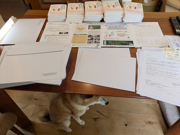 PXL_20260131_024658828