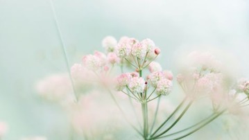 E5A4A7E5928CE8A880E89189-E887AAE784B6-E88AB1