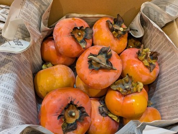 PXL_20251207_040102283