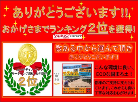 ranking